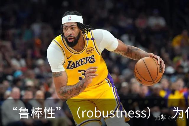 “鲁棒性”（robustness），为什么是糟糕的翻译？