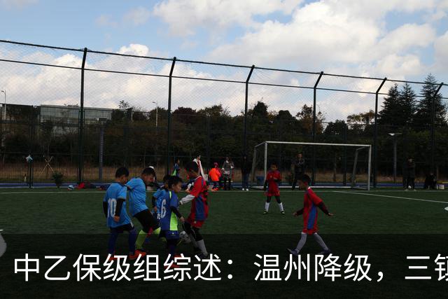 中乙保级组综述：温州降级，三镇B队、成都B队、北理工保级三选一