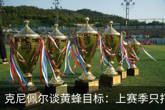 克尼佩尔谈黄蜂目标：上赛季只打了附加赛 这赛季必须进季后赛