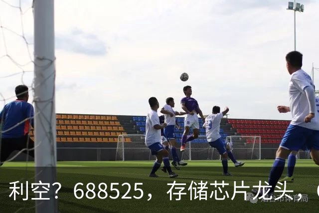 利空？688525，存储芯片龙头，Q3净利环比下滑62%