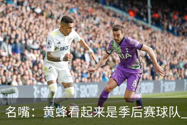 名嘴：黄蜂看起来是季后赛球队 米勒有望达到皮尔斯&双探花的级别