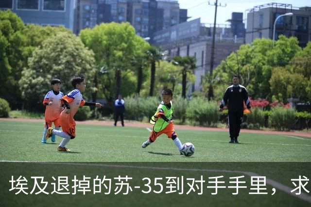 埃及退掉的苏-35到对手手里，求锤得锤，歼-10C成唯一解药