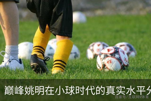 巅峰姚明在小球时代的真实水平分析
