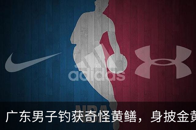 广东男子钓获奇怪黄鳝，身披金黄蟒纹，网友：快放生！准备化蛟了！