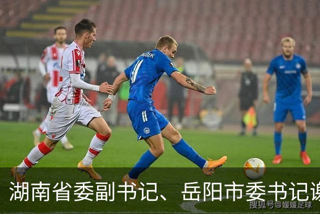 湖南省委副书记、岳阳市委书记谢卫江任湖南省政府党组书记
