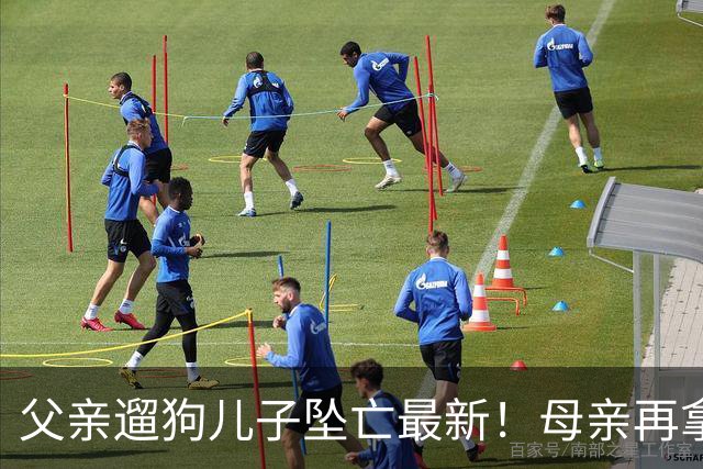 父亲遛狗儿子坠亡最新！母亲再拿铁证，窗户被动手脚，爷爷更可疑