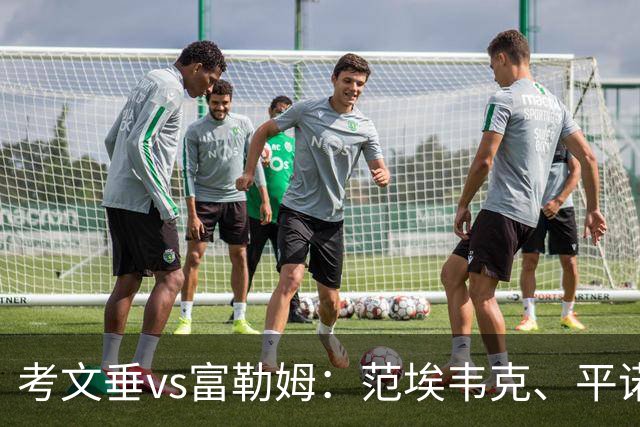 考文垂vs富勒姆：范埃韦克、平诺克首发，莱诺、贡萨洛-加西亚出战