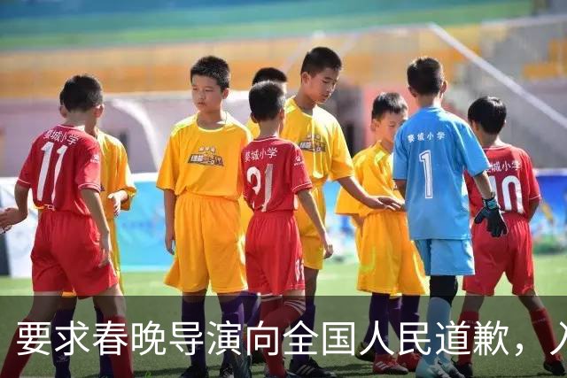 要求春晚导演向全国人民道歉，入美籍还回国捞金，她究竟啥来头？