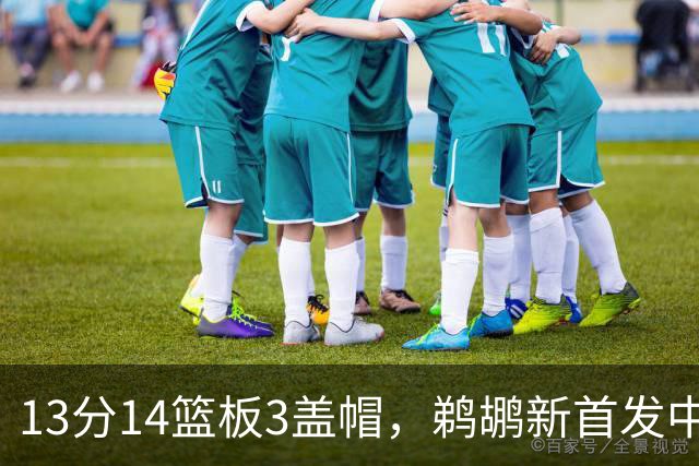 13分14篮板3盖帽，鹈鹕新首发中锋首秀交出两双