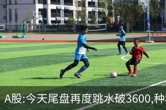 A股:今天尾盘再度跳水破3600,种种迹象表明,本轮调整或全面启动？